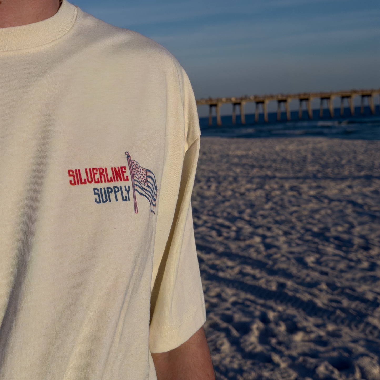 Land of the Free - Boxy Tee